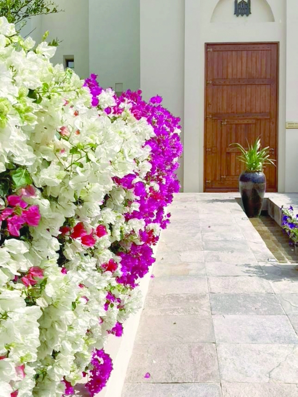 Al Bustan Palace Hotel area