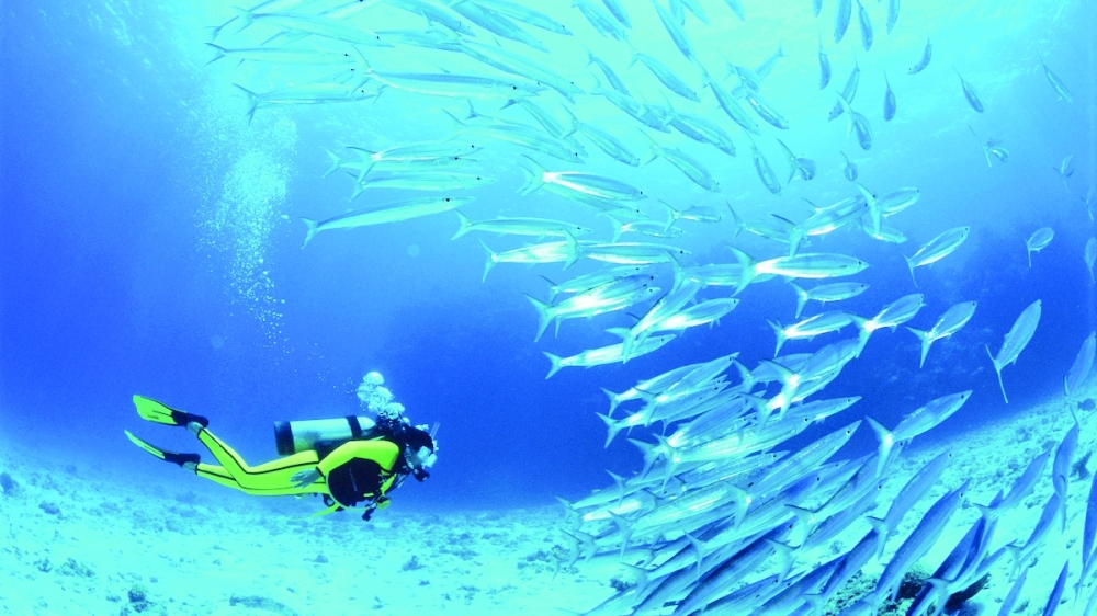 The heat that accumulated in the oceans last year increased by approximately 23 zettajoules — an amount equivalent to nearly four decades of global primary energy consumption.