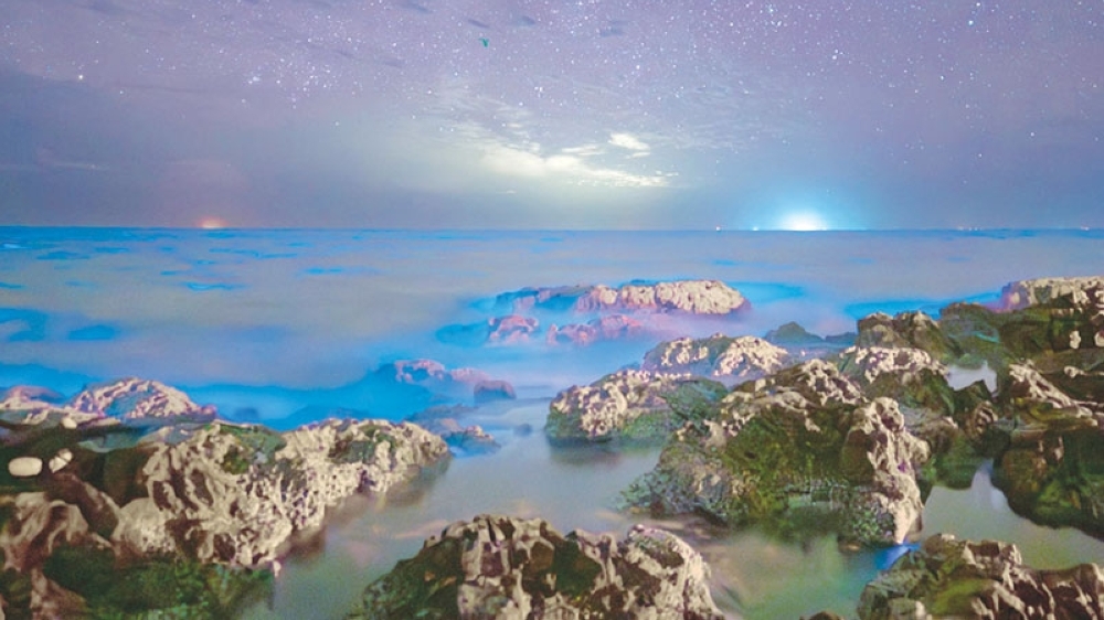 Qasim al Busaidy: A Passion that Captures the Universe and Transforms It into Art and Science