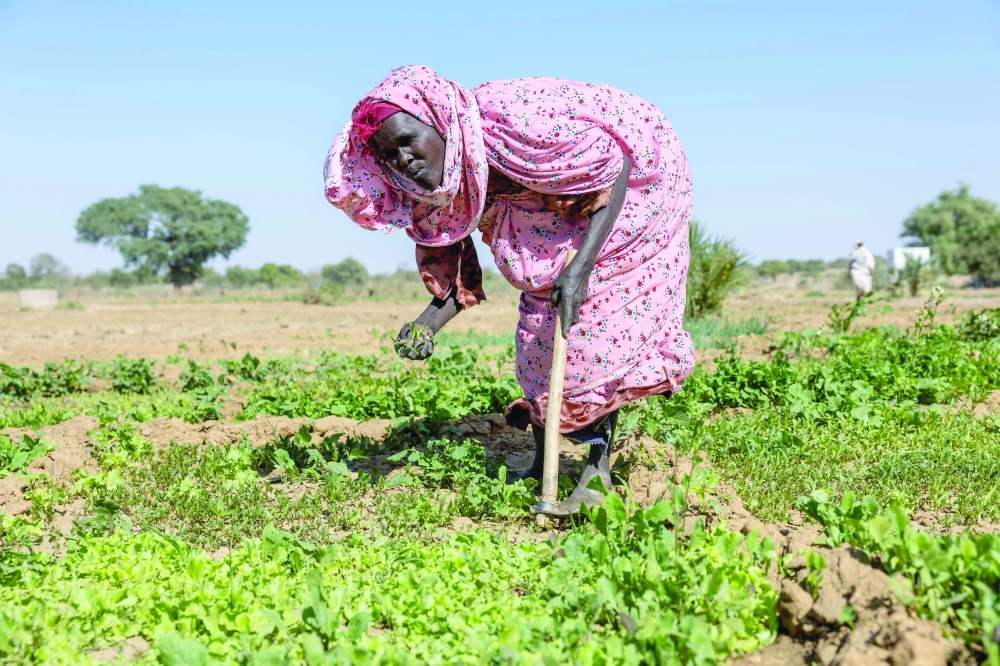 A Sudanese refugee works on a community farm near the Farchana camp, Ouaddai. - AFP