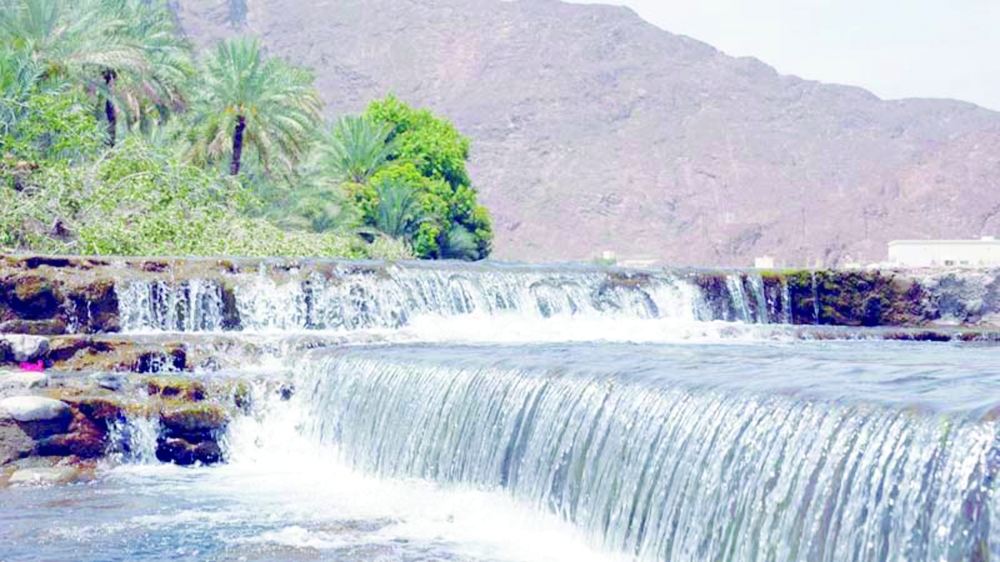 1,007,190 Emiratis visited the Sultanate of Oman until November-end, followed by 607,789 Indians.