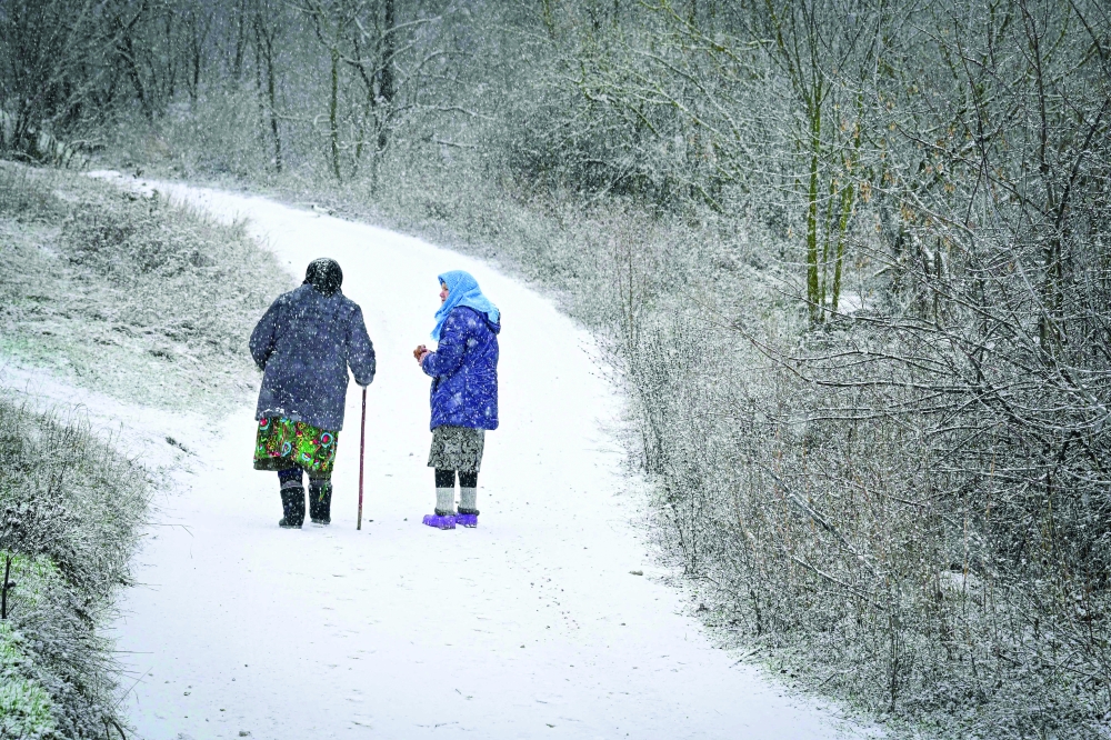 A snowfall in Rogojeni village