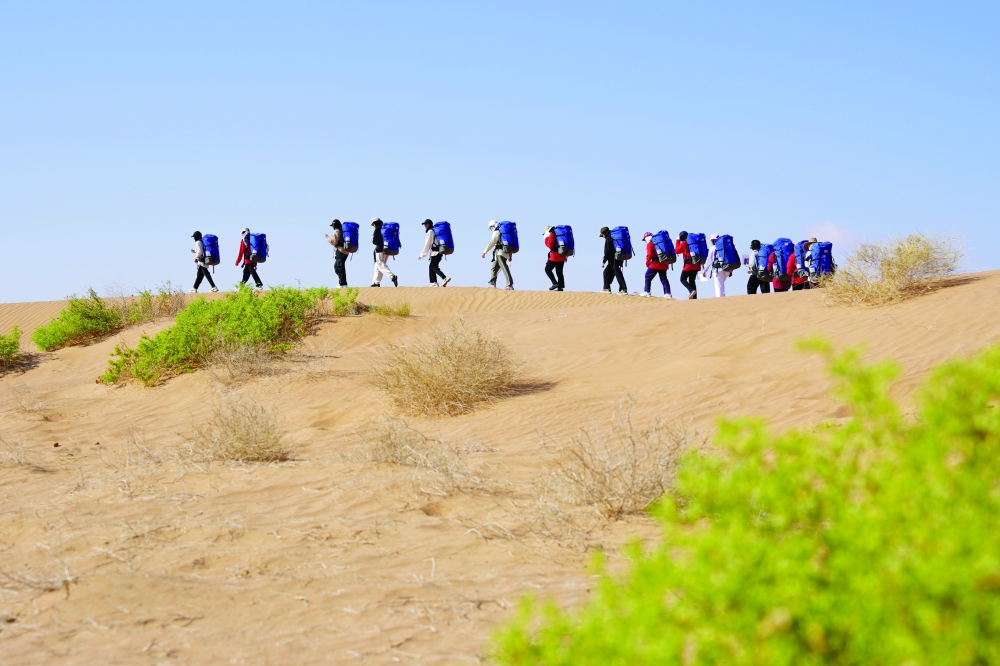 The Biodiversity Gems Programme Enhances Youth Awareness of Environmental Sustainability and Biodiversity in Oman.