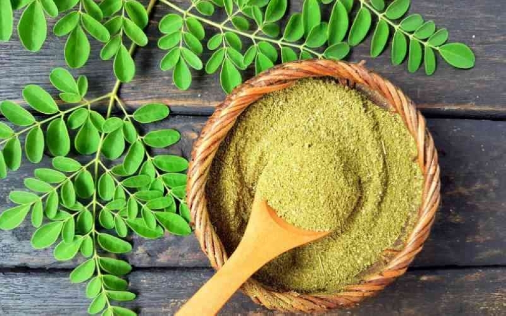 Over the past two decades, numerous studies have examined the properties of the moringa tree.