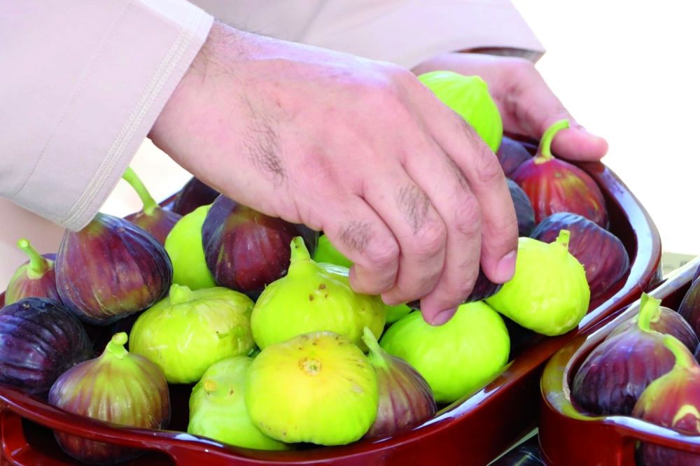 Abdulrahman al Kalbani's agricultural project began in 2023 as a personal experiment