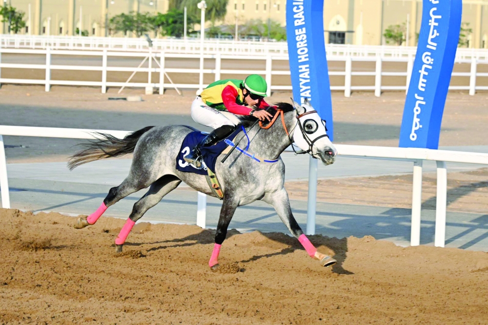 Al Shalli SB won the ROP Cup Race, for locally bred Purebred Arabians over 2,000 metres. 