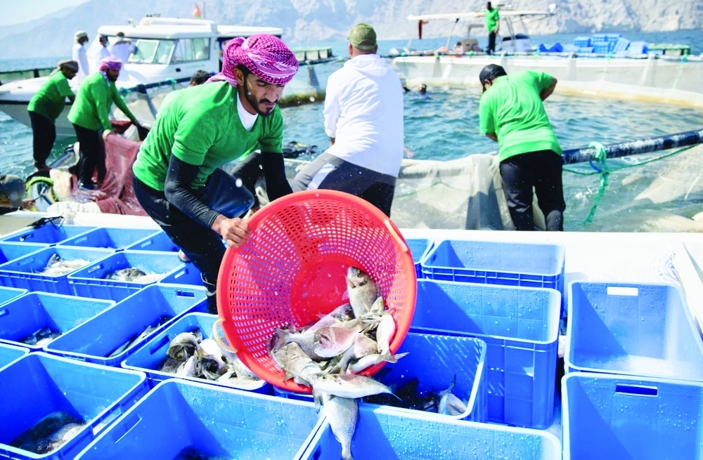 Among the funded initiatives are strengthening the sustainability of abalone fisheries and developing brown mussel farming, among others.