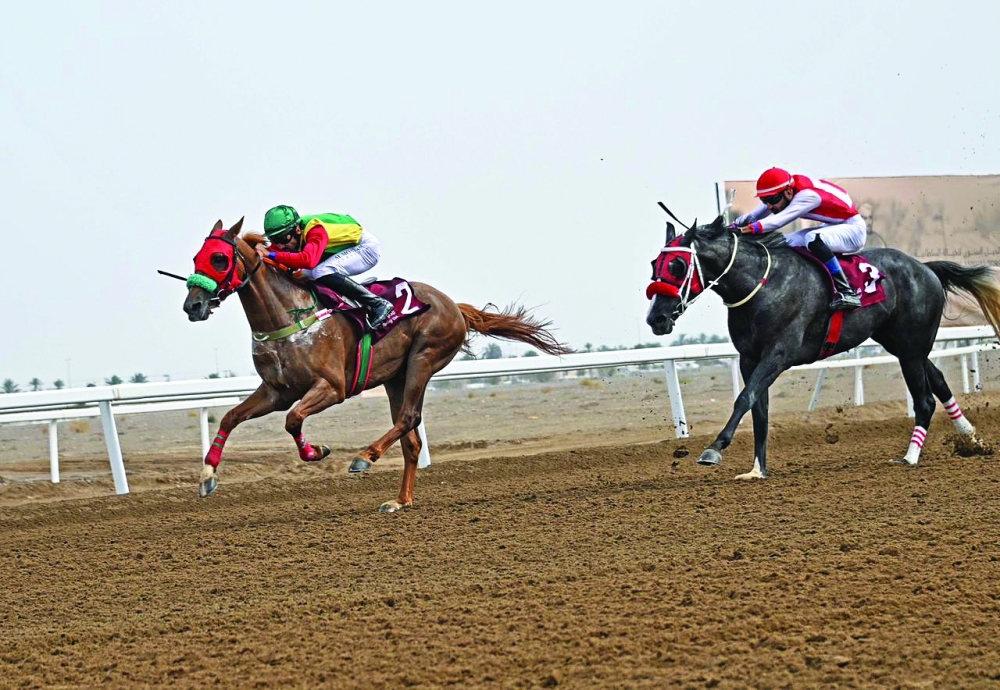 Al Shibl, owned by the Royal Cavalry, claimed first place. — MOHAMMED AL BALUSHI
