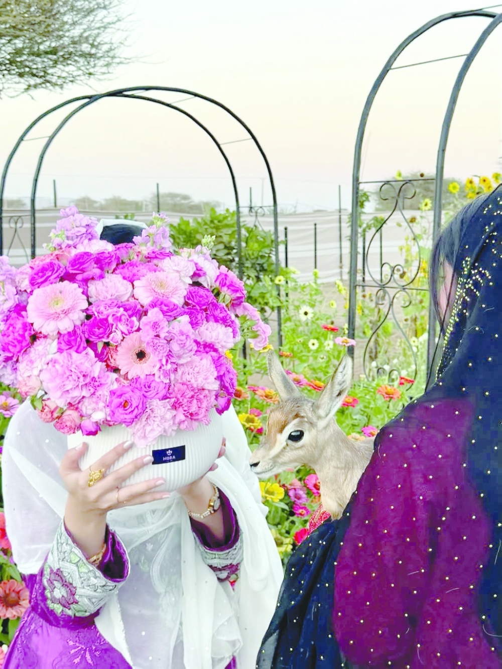 Bidiyah Secret Garden