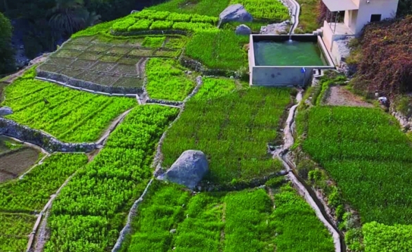 Al Faiq village: MOUNTAIN TREASURE WAITING TO BE DISCOVERED