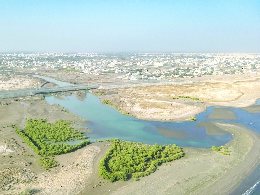 The project serves as a cornerstone in supporting biodiversity