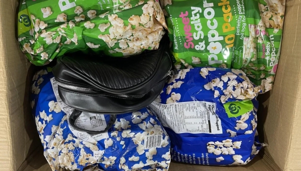 Man jailed for mailing reptiles in popcorn bags