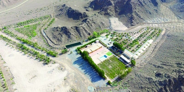 Neem Camp promotes experiential tourism in Nizwa