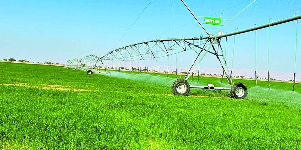 The opportunities cover projects across citrus and lemon farming, agricultural nurseries and fish farming.