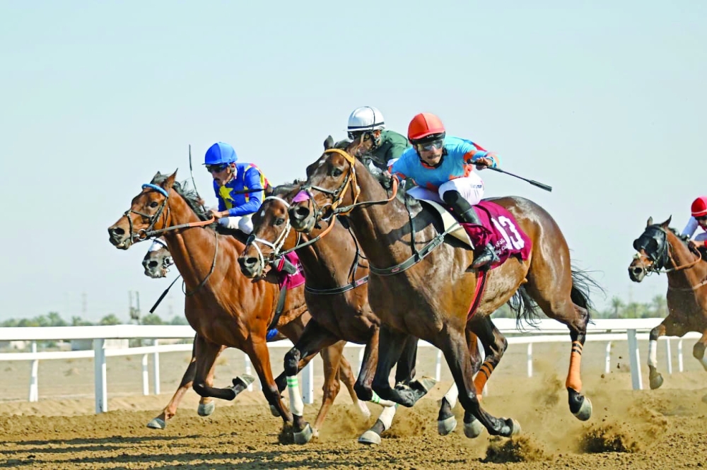 Sarhan Cup” for Purebred Arabians over 1,600 metres and sponsored by Marbat Al Reef Stud.