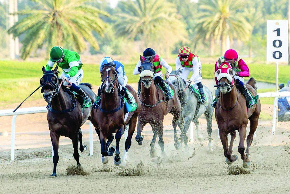 Royal Cavalry's ‘Muthabir’ was ridden by jockey Abdulaziz al Balushi and trained by Ibrahim al Hadhrami.