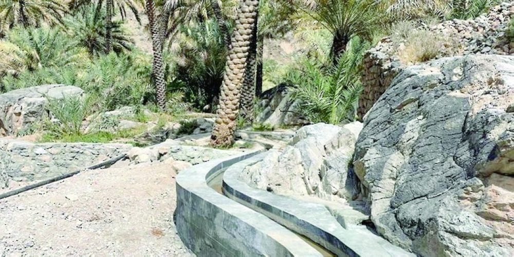 Farmers rely on natural indicators to schedule irrigation.