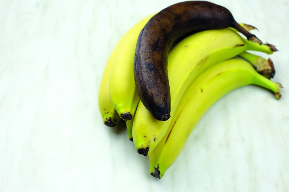 
The research evaluated the effectiveness of olive oil and moringa oil. 