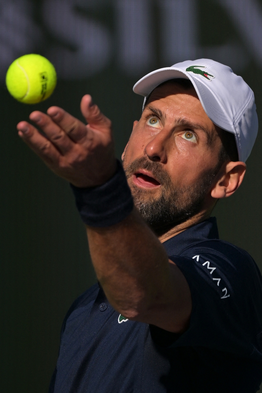  Novak Djokovic (SRB) tosses the ball for a serve during his second round match  