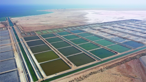 Aquaculture output to reach 9,240 tonnes