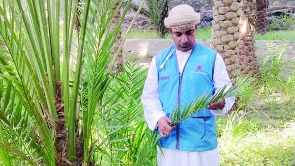 Farmers alerted as survey tracks Dubas palm pest