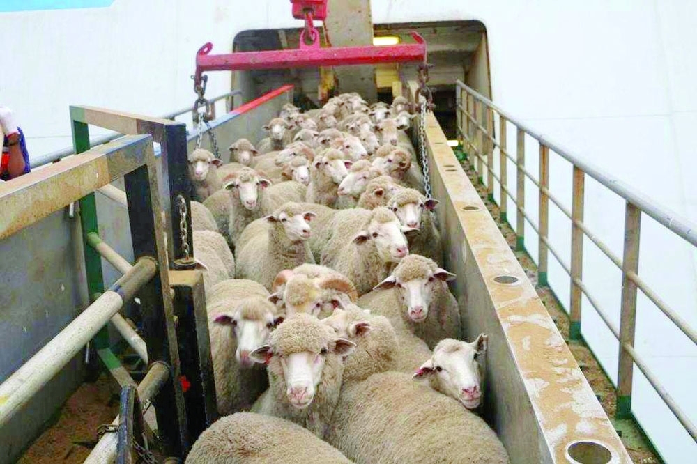 Imports include 27,718 cattle heads and 258,172 sheep and goats.