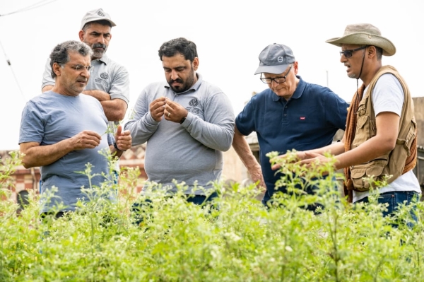 Dhofar wins top Arab Environmental Award for invasive plant control
