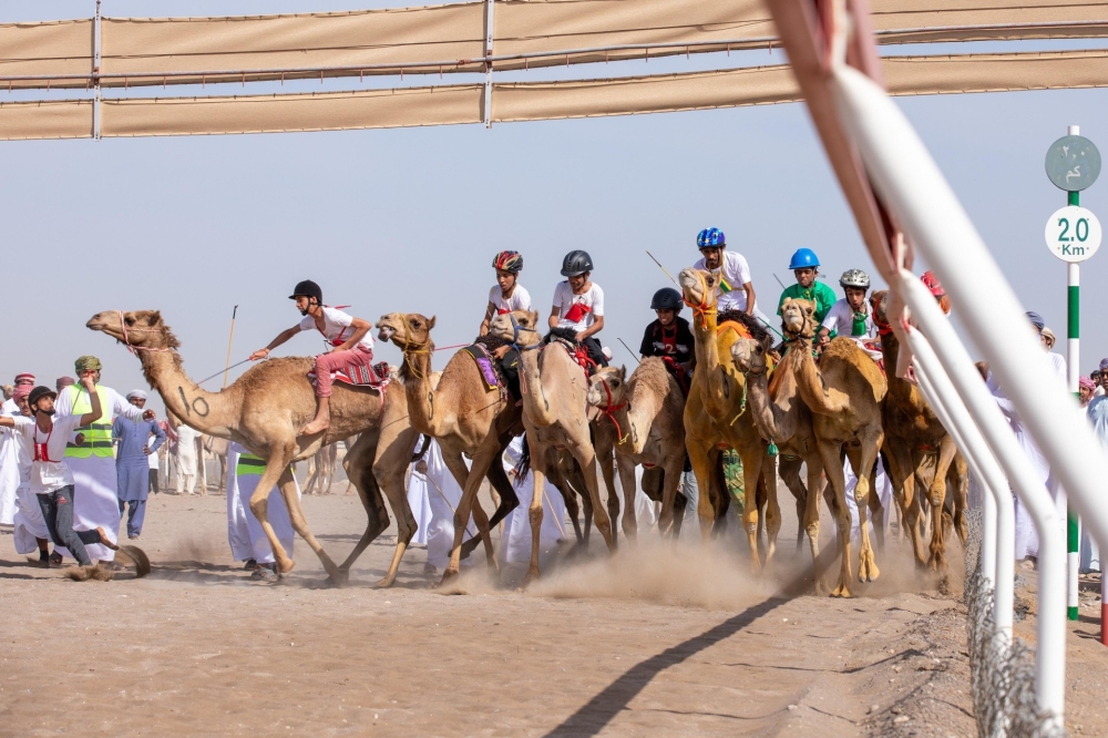Camel riders at the start of a race during a previous edition of His Majesty the Sultan’s Camel Racing Festival