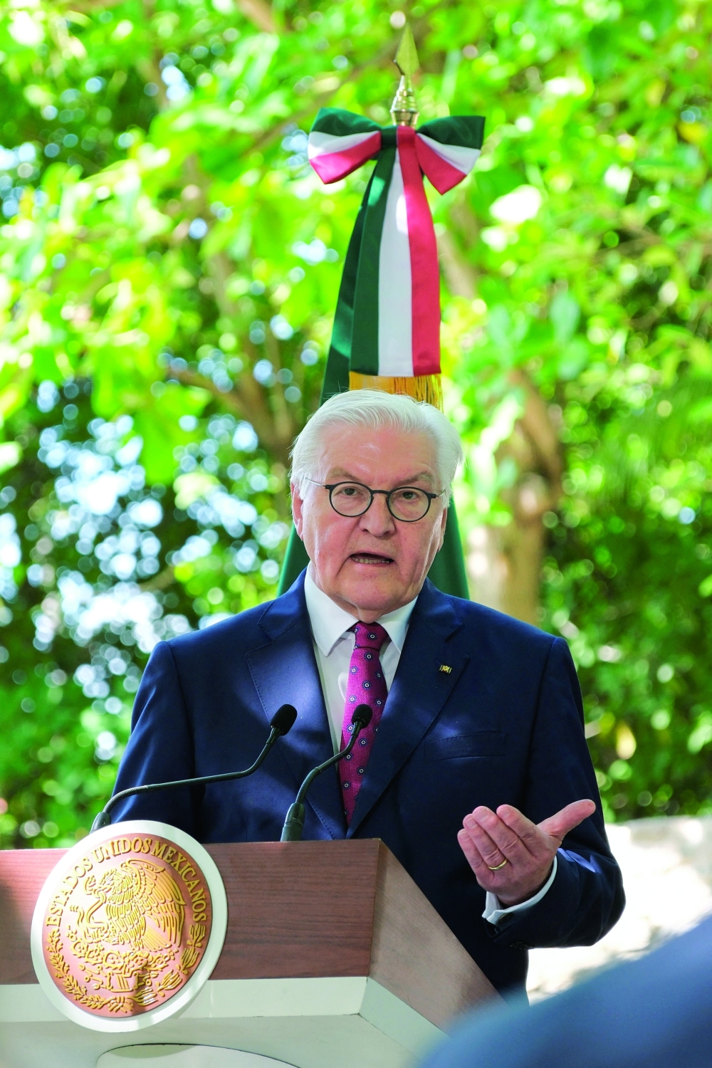 Frank‑Walter Steinmeier