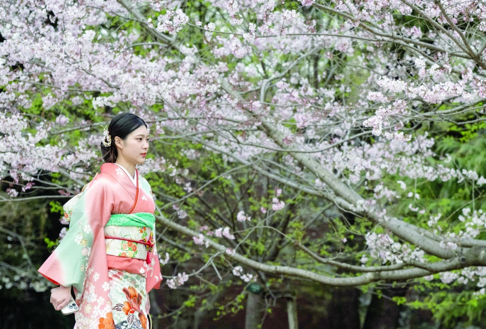 A woman in traditional dress walks past a cherry blossom tree at Ueno Park in Tokyo. — AFP