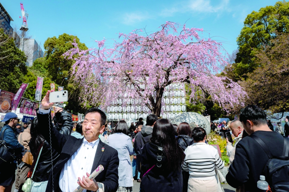 People take pictures with a cherry blossom tree at Ueno Park in Tokyo on March 21, 2026. (Photo by Philip FONG / AFP)