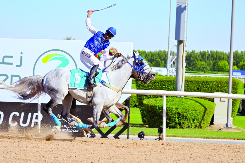 The horse Falah, ridden by jockey Al Mutasim al Balushi, won the Dubai Kahayla Classic race. — Mohammed al Balushi