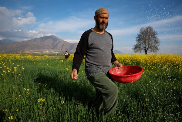 Iran war drives global fertilizer prices up, raising food cost fears