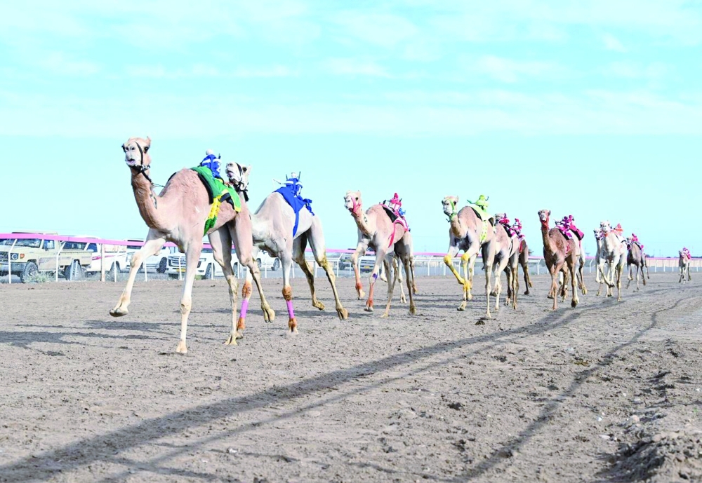 From the morning competition