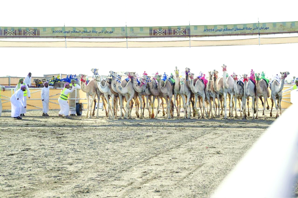 Maraseem, Ghazar, Bayh and Talaid also claimed victories in their respective rounds.