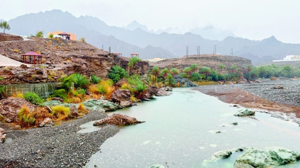 NATURE REAWAKENS AFTER AL MASARAT