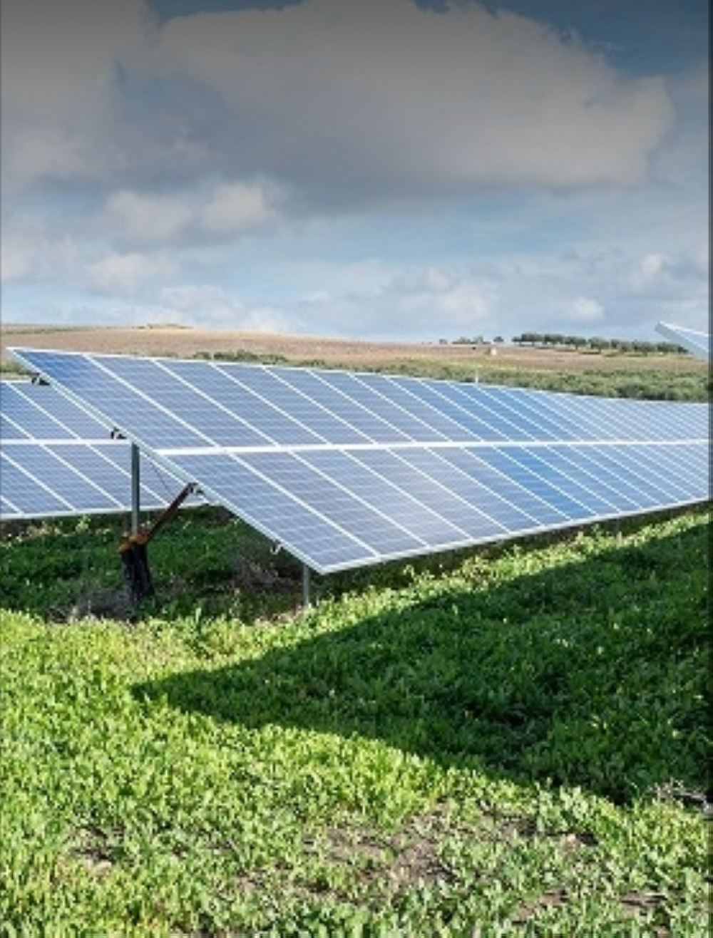 
The initiative enables farmers to adopt solar energy technologies to increase production efficiency and reduce operating expenses. 
