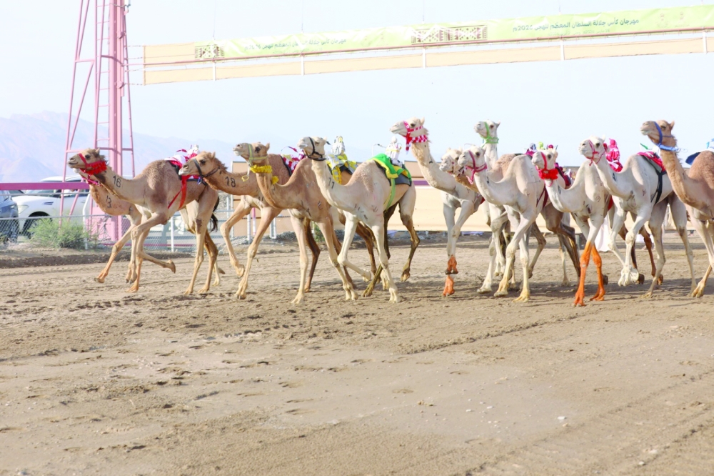 The evening programme consisted of four main rounds, where winners were awarded four cars and four icons, alongside financial prizes for the leading finishers.