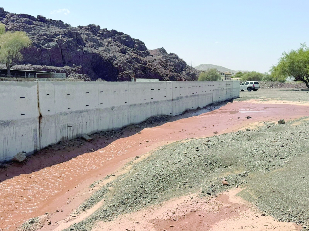 These efforts are part of broader initiatives to mitigate flood risks and safeguard agricultural lands. — ONA