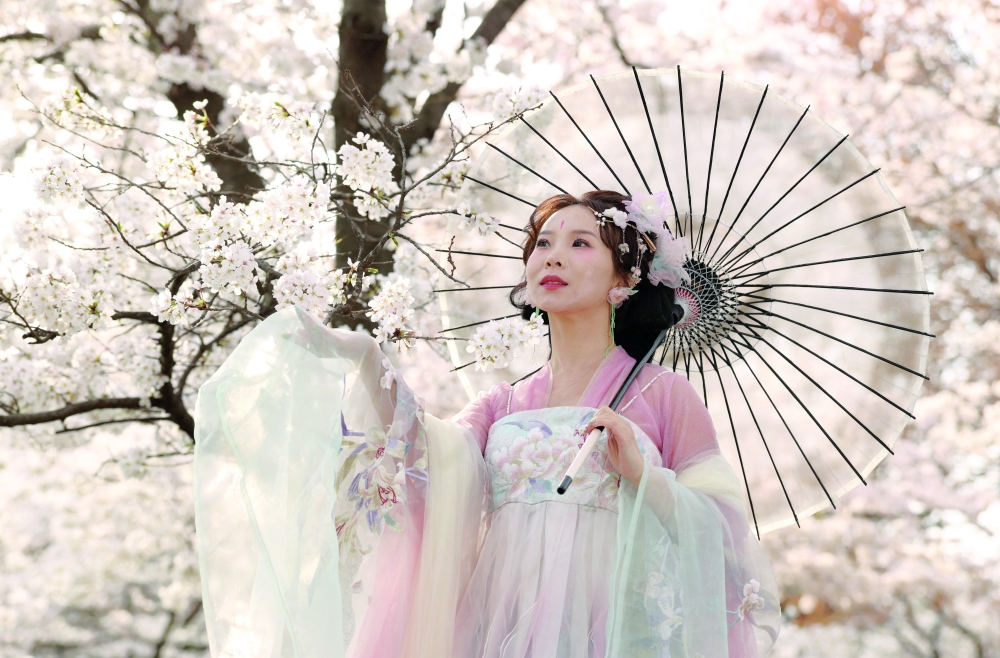 Wearing a Chinese Hanfu dress, Jiahui Xu, who is from China, is photographed with cherry blossoms at the Tidal Basin in Washington, D.C., U.S., March 26, 2026. REUTERS/Kevin Lamarque