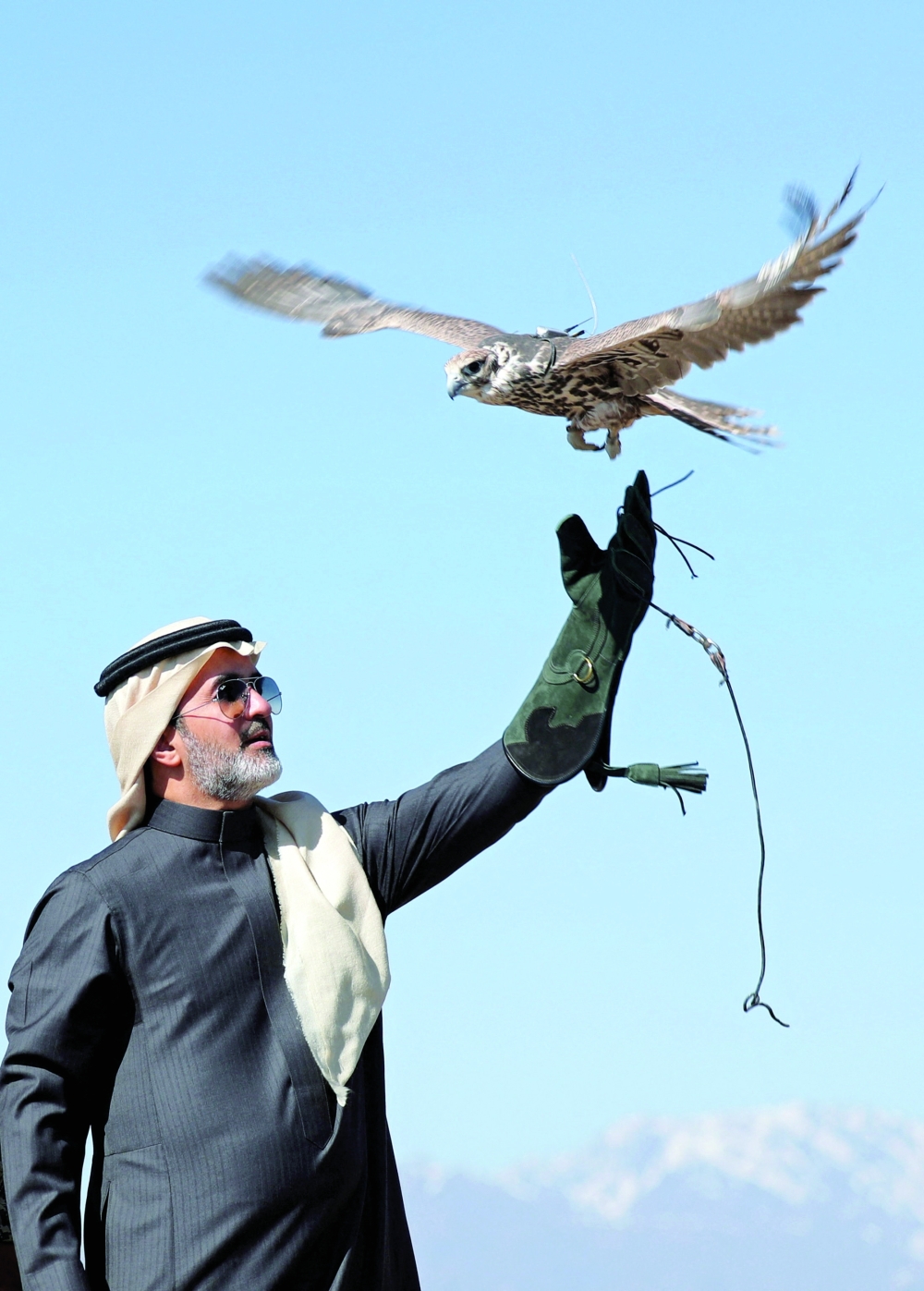 A saker falcon is released into the wild at Altyn-Emel National Park in Kazakhstan. — Reuters