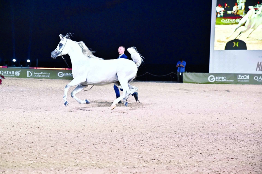 During the competitions of Global Champions Arabians Tour in Muscat. — Faisal al Balushi