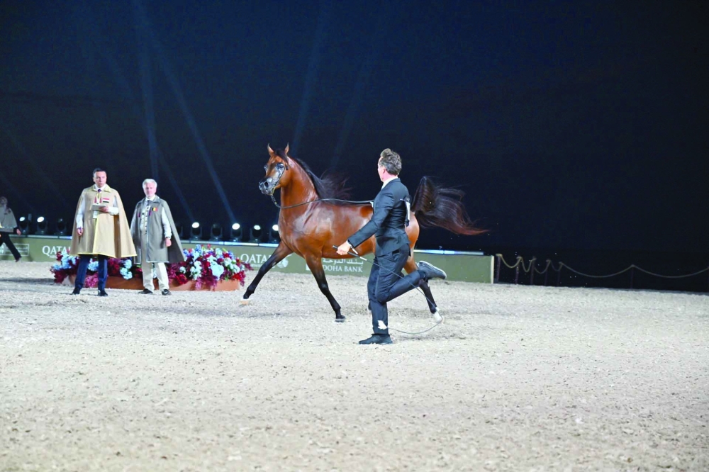 From the competitions of the Global Champions Arabians Tour. — Faisal al Balushi