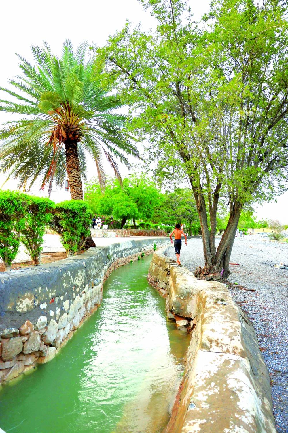 Water flow in the falaj has increased significantly, with stronger currents and visibly higher levels along its channels.