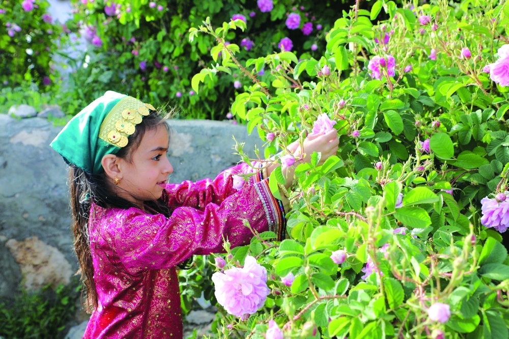 The project aims to support the cultivation of an additional five acres of local roses in Al Jabal Al Akhdhar.