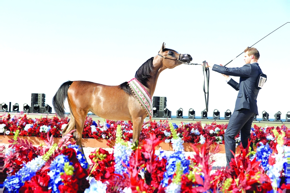 The competition in the arena was marked by both intensity and exceptional quality. 