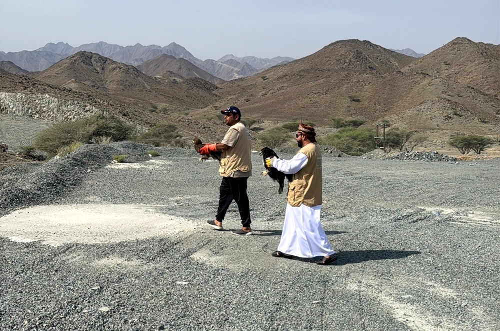 Birds of prey released include the Egyptian vulture, lappet-faced vulture, spotted eagle and the steppe eagle.