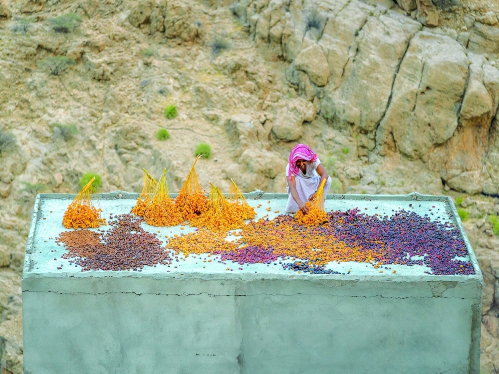 Tabseel season in Sur Mibam 2020 by Qasim al Farsi