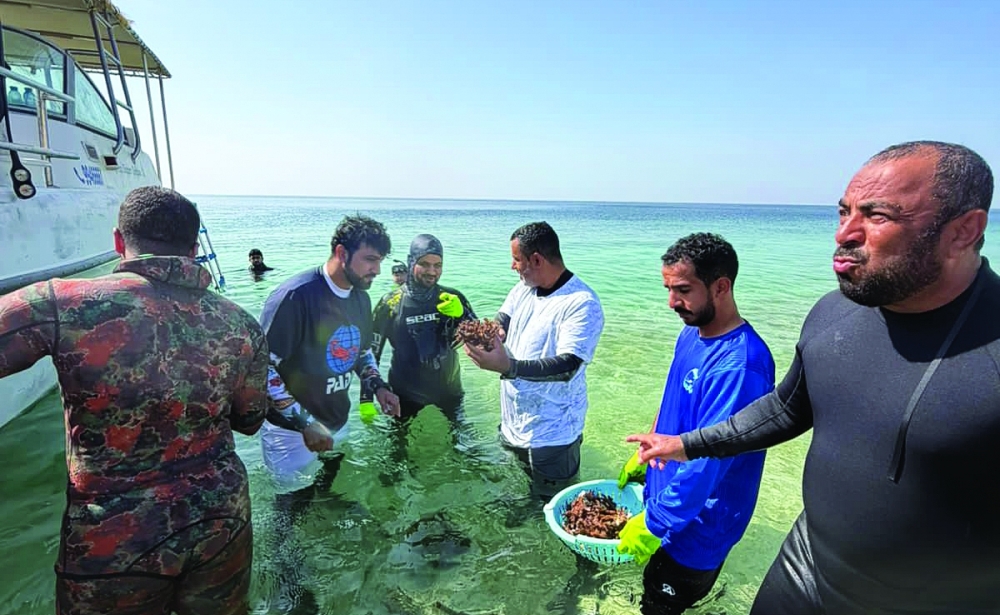 The project involves conducting environmental surveys of the cultivated reefs. — ONA
