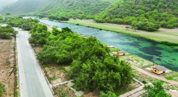 Dhofar Municipality moves advertising permits online